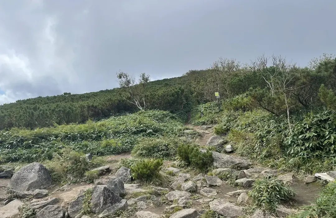 🏞️ 하이랜드 고시미즈 725 (하이란도 코시미즈 나나니고) 이미지 4